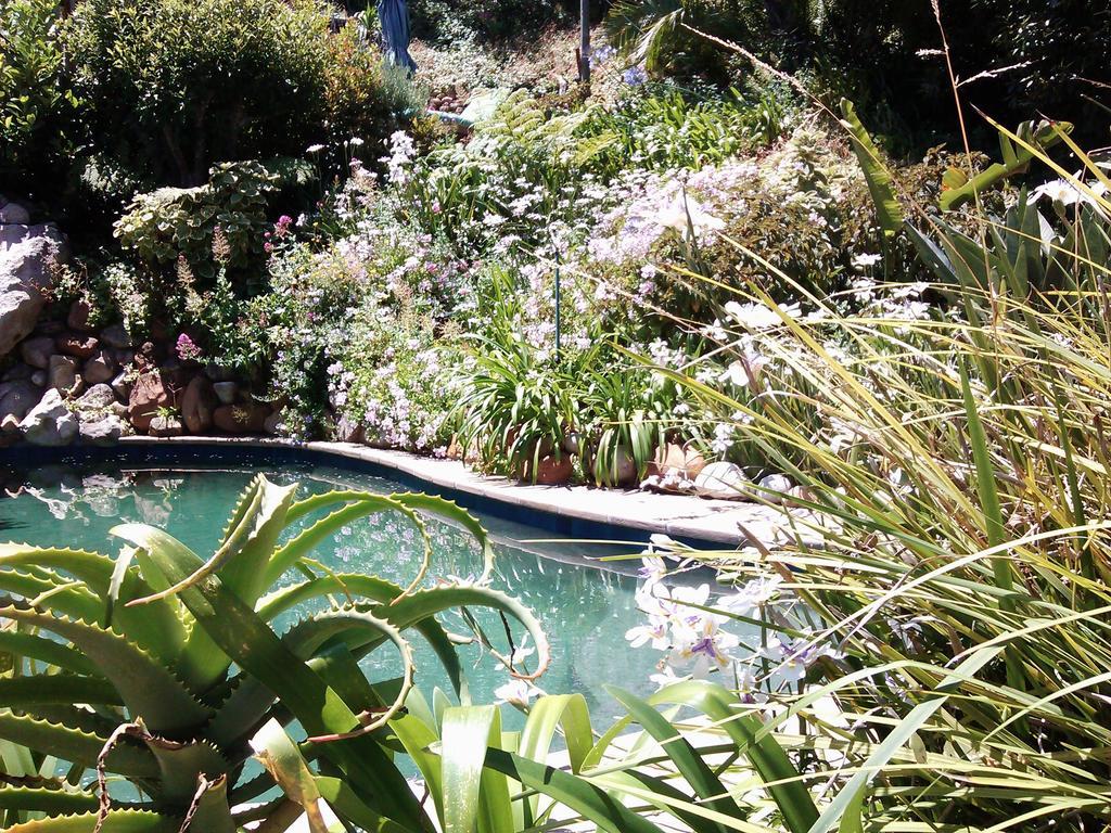 Hout Bay Hideaway Hotel Bagian luar foto