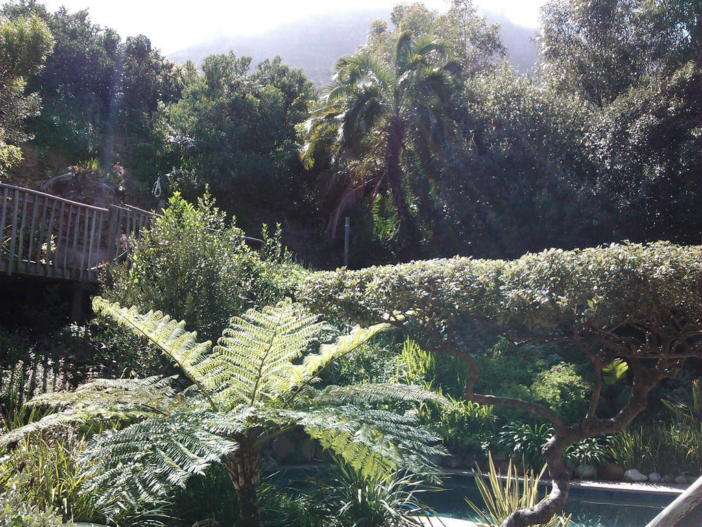 Hout Bay Hideaway Hotel Ruang foto